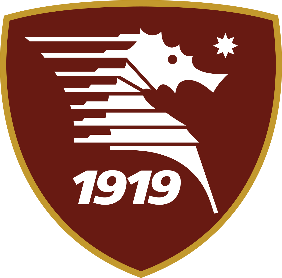 Unione Sportiva Salernitana 1919